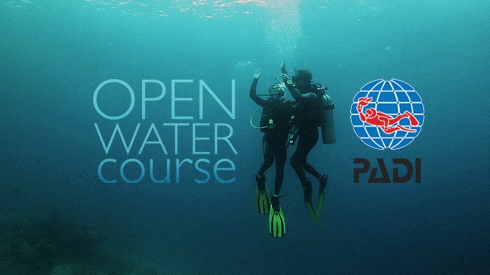 padi open water certification test